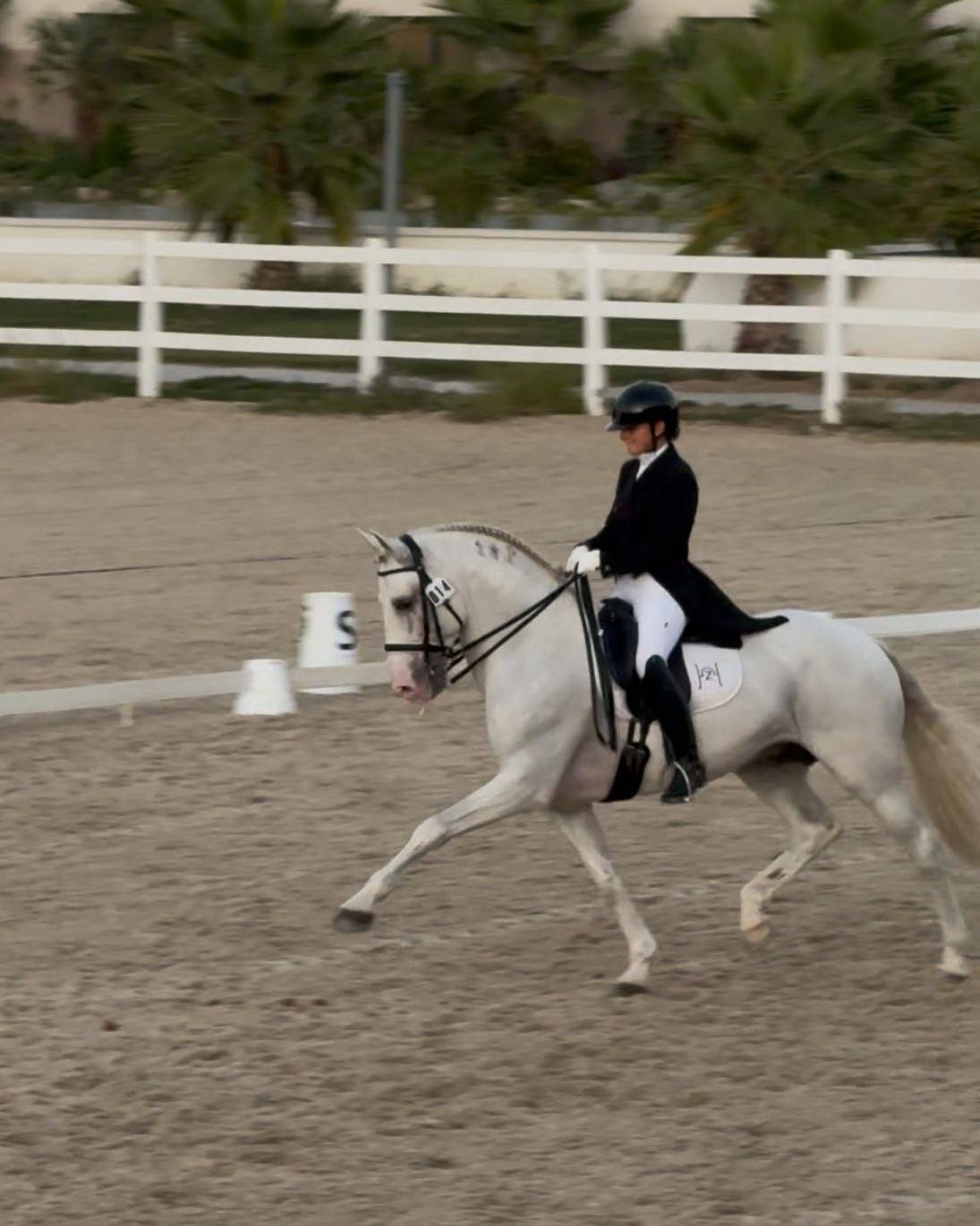 Anaëlle Stanislao Pascual en frac et casque, sur un cheval gris, en concours de dressage national, reprise Saint-Georges.